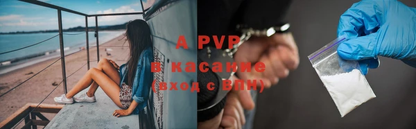 индика Абаза