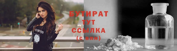 индика Абаза