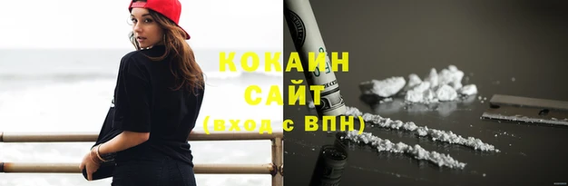 индика Абаза