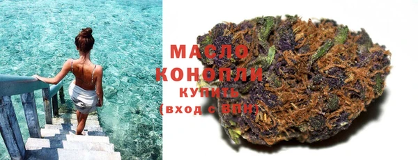 индика Абаза