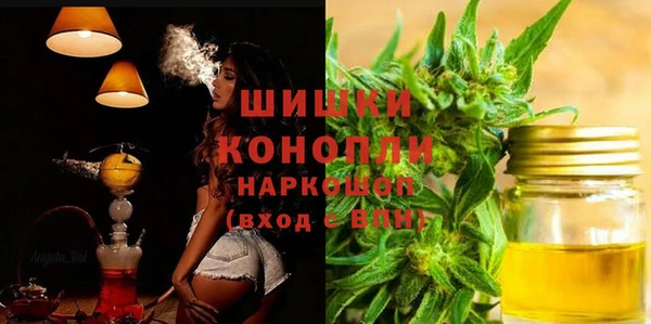 индика Абаза