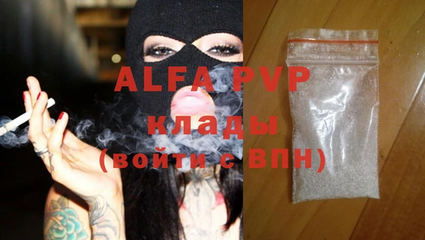 индика Абаза