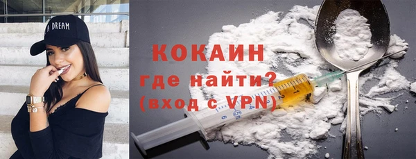 индика Абаза