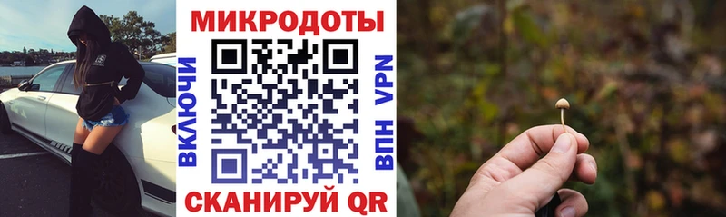 даркнет Telegram  купить  цена  omg маркетплейс  Трубчевск  Галлюциногенные грибы ЛСД 
